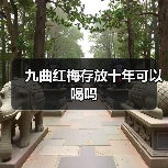 九曲红梅存放十年可以喝吗(图1) 九曲红梅存放十年可以喝吗(图1)