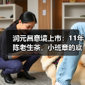 润元昌意境上市：11年陈老生茶，小班章的底气，轻泡也出彩（图4）