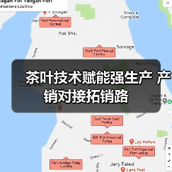 茶叶技术赋能强生产 产销对接拓销路（图3）