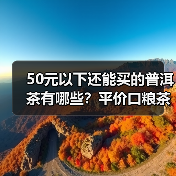 50元以下还能买的普洱茶有哪些?平价口粮茶推荐,实惠又好喝(图2) 50元以下还能买的普洱茶有哪些?平价口粮茶推荐,实惠又好喝(图2)