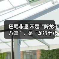 巴蜀非遗 不是“降龙十八掌”，是“龙行十八式”（图2）