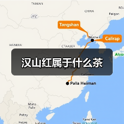 汉山红属于什么茶（图3）