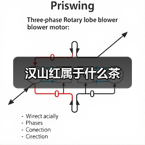 汉山红属于什么茶（图4）