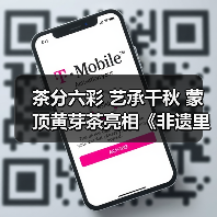 茶分六彩 艺承千秋 蒙顶黄芽茶亮相《非遗里的中国》（图3）