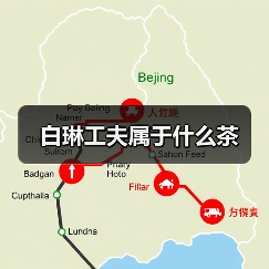 白琳工夫属于什么茶（图3）