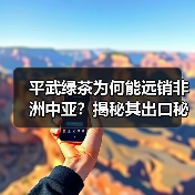 平武绿茶为何能远销非洲中亚？揭秘其出口秘诀（图4）