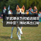 平武绿茶为何能远销非洲中亚？揭秘其出口秘诀（图1）