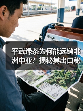 平武绿茶为何能远销非洲中亚？揭秘其出口秘诀（图3）