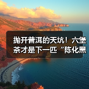 抛开普洱的天坑!六堡茶才是下一匹“陈化黑马”,附硬核挑选指南(图2) 抛开普洱的天坑!六堡茶才是下一匹“陈化黑马”,附硬核挑选指南(图2)