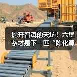 抛开普洱的天坑!六堡茶才是下一匹“陈化黑马”,附硬核挑选指南(图4) 抛开普洱的天坑!六堡茶才是下一匹“陈化黑马”,附硬核挑选指南(图4)