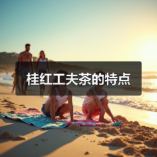 桂红工夫茶的特点(图2) 桂红工夫茶的特点(图2)