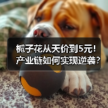 栀子花从天价到5元！产业链如何实现逆袭？（图3）