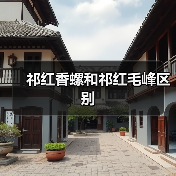 祁红香螺和祁红毛峰区别（图1）