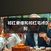 祁红香螺和祁红毛峰区别（图3）