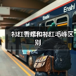 祁红香螺和祁红毛峰区别（图2）