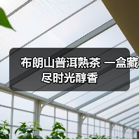 布朗山普洱熟茶 一盒藏尽时光醇香（图1）