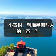 小青柑,到底是哪些人的“茶”?(图1) 小青柑,到底是哪些人的“茶”?(图1)