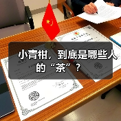 小青柑,到底是哪些人的“茶”?(图4) 小青柑,到底是哪些人的“茶”?(图4)