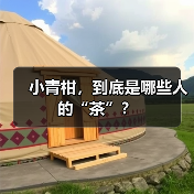 小青柑,到底是哪些人的“茶”?(图2) 小青柑,到底是哪些人的“茶”?(图2)