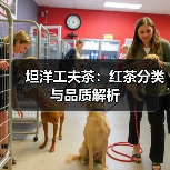 坦洋工夫茶:红茶分类与品质解析(图1) 坦洋工夫茶:红茶分类与品质解析(图1)