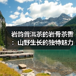 岩韵普洱茶的岩骨茶香:山野生长的独特魅力(图2) 岩韵普洱茶的岩骨茶香:山野生长的独特魅力(图2)