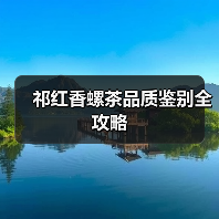 祁红香螺茶品质鉴别全攻略（图2）