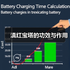 滇红宝塔的功效与作用(图2) 滇红宝塔的功效与作用(图2)