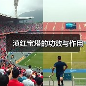 滇红宝塔的功效与作用(图4) 滇红宝塔的功效与作用(图4)