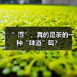 ”涩”,真的是茶的一种“味道”吗?(图2) ”涩”,真的是茶的一种“味道”吗?(图2)