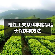 桂红工夫茶科学储存延长保鲜期方法(图3) 桂红工夫茶科学储存延长保鲜期方法(图3)
