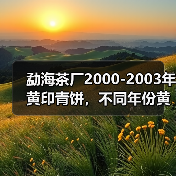 勐海茶厂2000-2003年黄印青饼,不同年份黄印辨识细节详解(图1) 勐海茶厂2000-2003年黄印青饼,不同年份黄印辨识细节详解(图1)