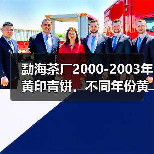 勐海茶厂2000-2003年黄印青饼,不同年份黄印辨识细节详解(图3) 勐海茶厂2000-2003年黄印青饼,不同年份黄印辨识细节详解(图3)