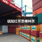 信阳红茶是哪种茶(图2) 信阳红茶是哪种茶(图2)