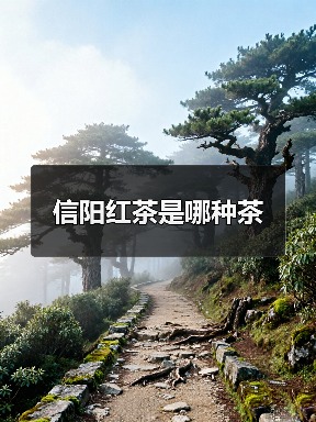 信阳红茶是哪种茶(图3) 信阳红茶是哪种茶(图3)