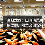 磨烈龙珠：山涧清风裹挟凛冽，刚柔交融诠释茶香（图2）