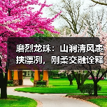 磨烈龙珠：山涧清风裹挟凛冽，刚柔交融诠释茶香（图3）