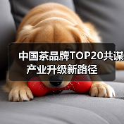 中国茶品牌TOP20共谋产业升级新路径(图3) 中国茶品牌TOP20共谋产业升级新路径(图3)