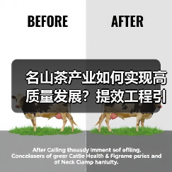 名山茶产业如何实现高质量发展?提效工程引领三产融合新路(图1) 名山茶产业如何实现高质量发展?提效工程引领三产融合新路(图1)