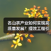名山茶产业如何实现高质量发展?提效工程引领三产融合新路(图3) 名山茶产业如何实现高质量发展?提效工程引领三产融合新路(图3)