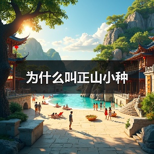为什么叫正山小种(图1) 为什么叫正山小种(图1)
