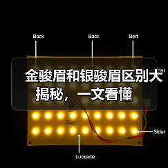 金骏眉和银骏眉区别大揭秘，一文看懂（图4）