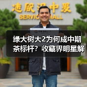 绿大树大2为何成中期茶标杆?收藏界明星解析(图3) 绿大树大2为何成中期茶标杆?收藏界明星解析(图3)