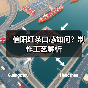 信阳红茶口感如何？制作工艺解析（图1）