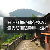 日照红梅茶储存技巧:避光防潮防异味,这样保存更长久(图3) 日照红梅茶储存技巧:避光防潮防异味,这样保存更长久(图3)