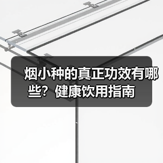 烟小种的真正功效有哪些?健康饮用指南(图2) 烟小种的真正功效有哪些?健康饮用指南(图2)
