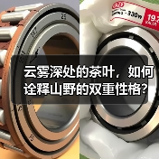 云雾深处的茶叶，如何诠释山野的双重性格？（图1）