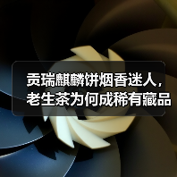 贡瑞麒麟饼烟香迷人，老生茶为何成稀有藏品（图4）