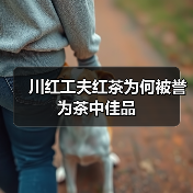 川红工夫红茶为何被誉为茶中佳品(图1) 川红工夫红茶为何被誉为茶中佳品(图1)
