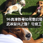96真淳雅号如何重启易武茶复兴之路？号级工艺重现经典（图2）