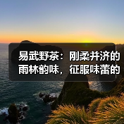易武野茶：刚柔并济的雨林韵味，征服味蕾的野性魅力（图1）